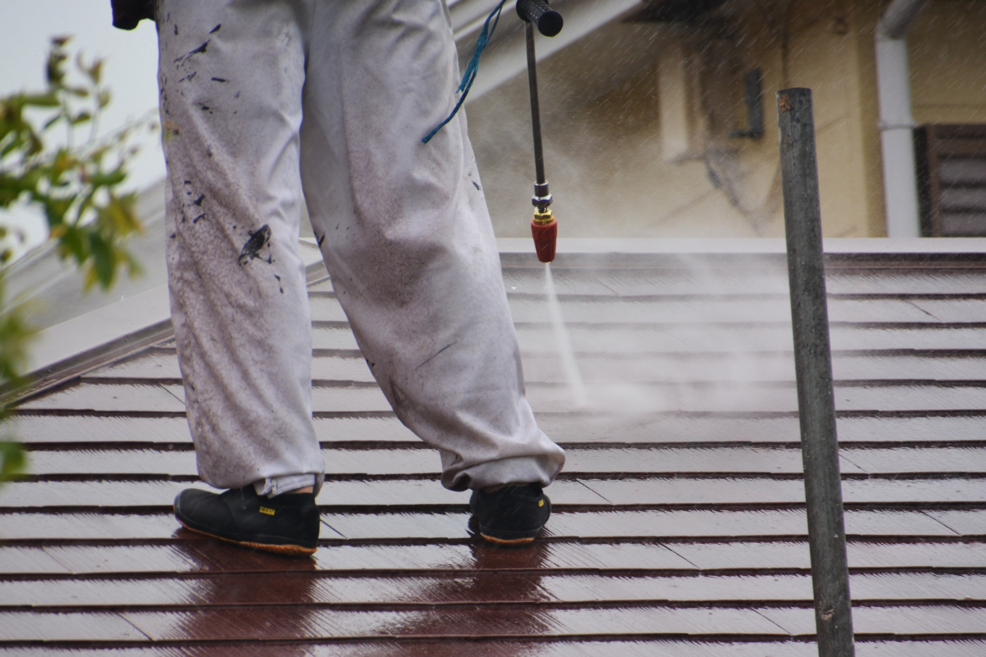 Servicios 6 jtyjhgdfgdfgf